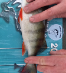 photo prise 52494 par Gurvan