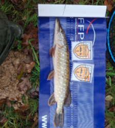 photo prise 52495 par Flap Flap