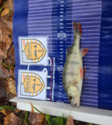 photo prise 52497 par ludwig