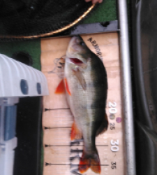 photo prise 52499 par Poch