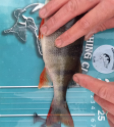 photo prise 52500 par Gurvan