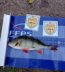 photo prise 52501 par david