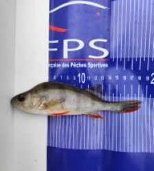 photo prise 52502 par Max!