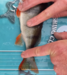 photo prise 52503 par Gurvan