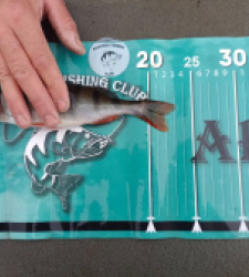 photo prise 52504 par Alex