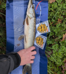 photo prise 52506 par mathias