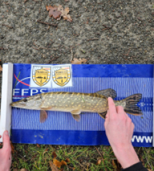 photo prise 52508 par Jean Philipe