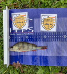 photo prise 52509 par Troutrou