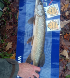 photo prise 52512 par ticou8