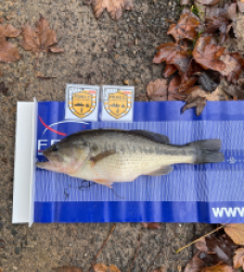 photo prise 52513 par Valpioge