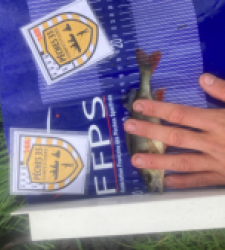 photo prise 52515 par Saussaye TIMEO