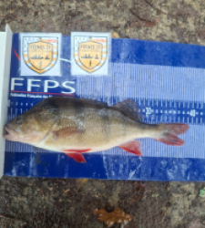 photo prise 52517 par alexandre