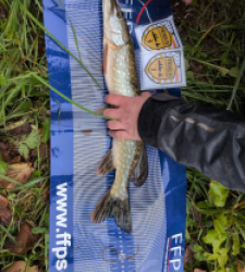 photo prise 52518 par mathias