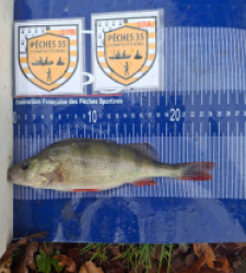 photo prise 52521 par alexandre