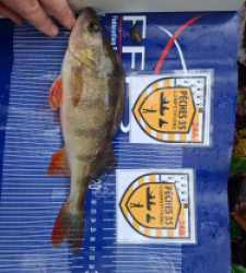 photo prise 52522 par Flap Flap