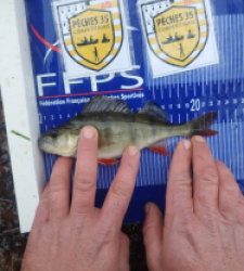 photo prise 52523 par franck