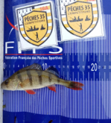 photo prise 52524 par Tarpo