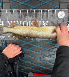 photo prise 52526 par Arnaud