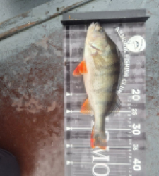 photo prise 52528 par loic