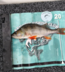 photo prise 52529 par Dolu