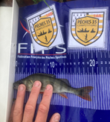 photo prise 52530 par Saussaye TIMEO