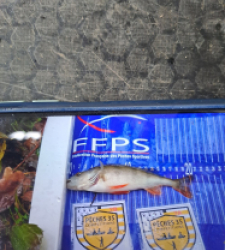 photo prise 52531 par Gev'carna