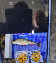 photo prise 52533 par Gev'carna