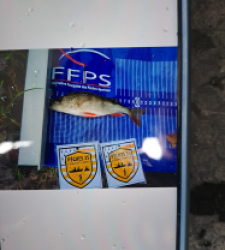 photo prise 52534 par Gev'carna