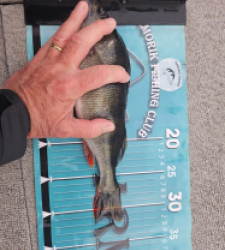 photo prise 52535 par antoine