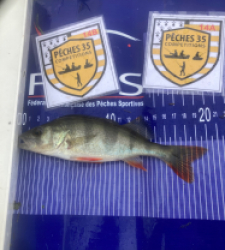 photo prise 52536 par Saussaye TIMEO