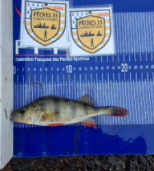 photo prise 52538 par Jochalandre