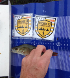 photo prise 52539 par Tarpo