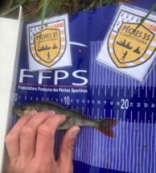 photo prise 52540 par Saussaye TIMEO