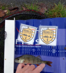 photo prise 52542 par Tarpo