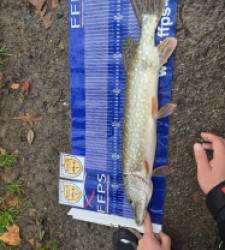 photo prise 52543 par ludwig