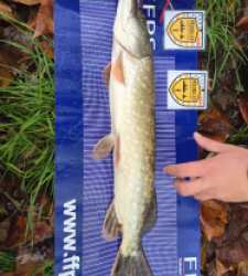 photo prise 52544 par ludwig