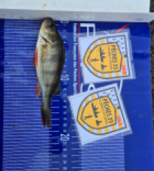 photo prise 52546 par jocelyn