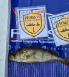 photo prise 52547 par jocelyn