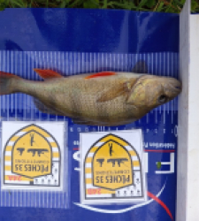 photo prise 52548 par Flap Flap