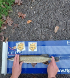 photo prise 52549 par Jochalandre