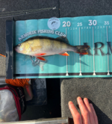 photo prise 52550 par armand