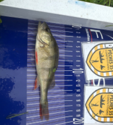 photo prise 52551 par Morgan 