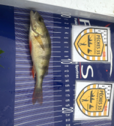 photo prise 52552 par Morgan 