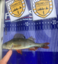 photo prise 52553 par Saussaye TIMEO