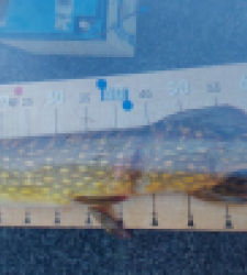 photo prise 52555 par riper19@live.fr