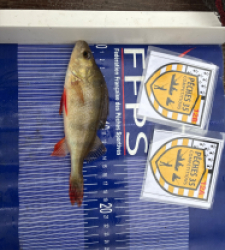 photo prise 52554 par Sam Beckett