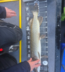 photo prise 52556 par Guigz