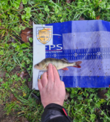 photo prise 52557 par Renaud