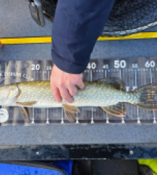 photo prise 52560 par Guigz