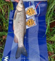 photo prise 52562 par Flap Flap